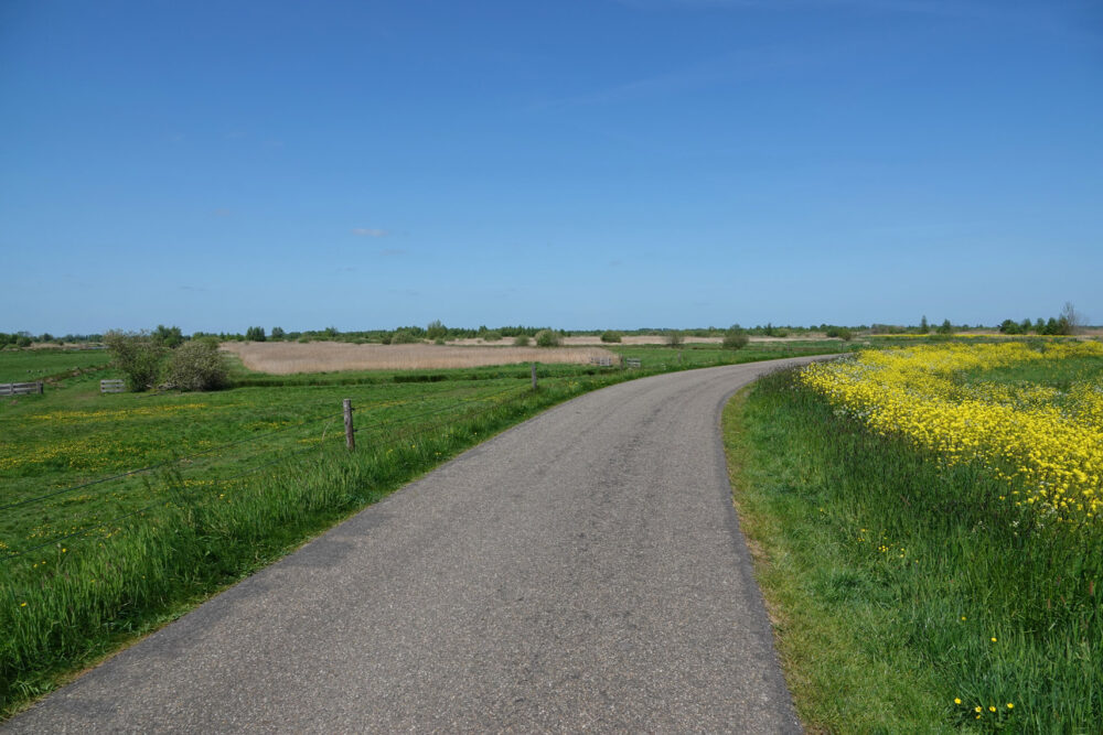 Lindedijk (Rottige Meente)