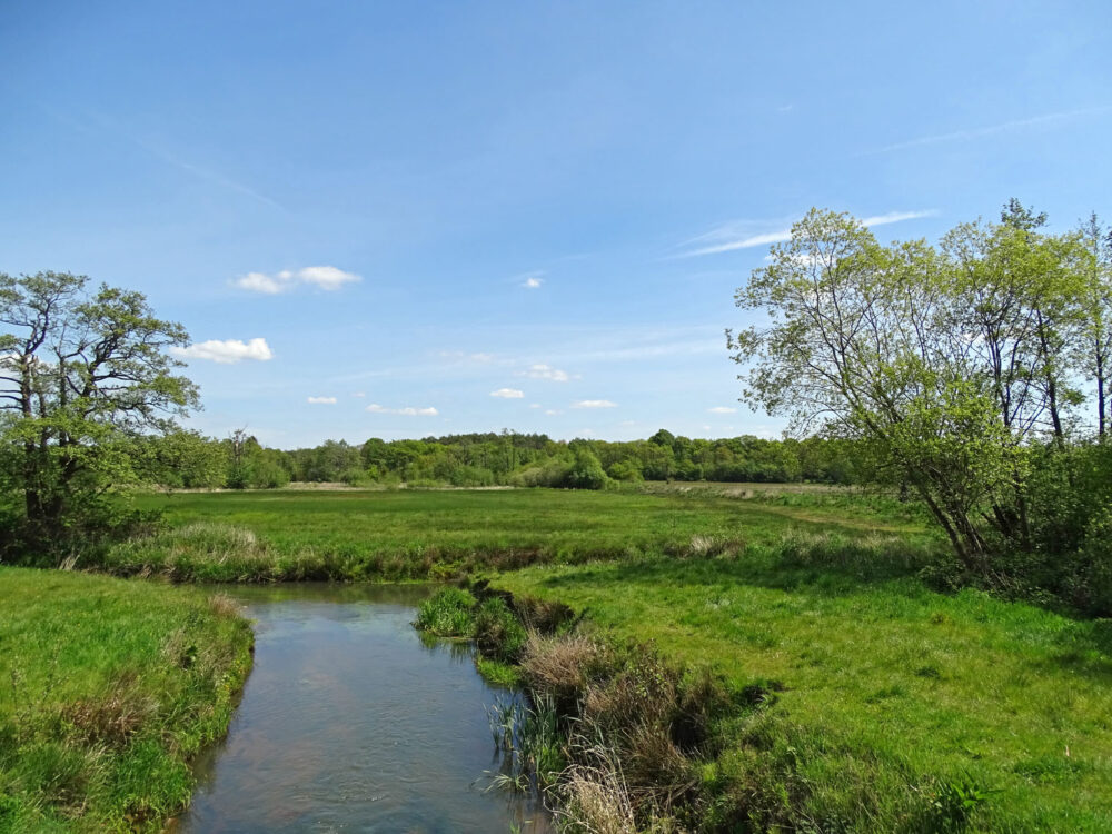 Loonerdiep (NP Drentsche Aa)