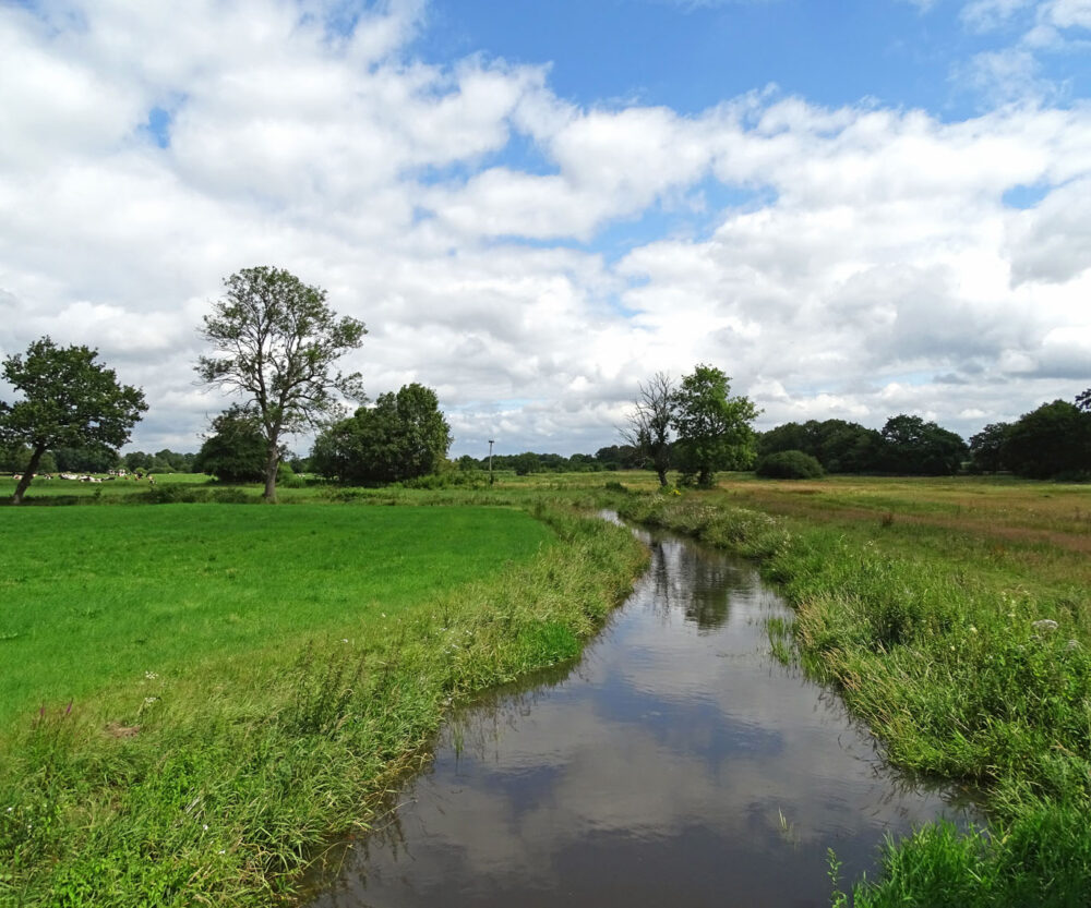 Loonerdiep (NP Drentsche Aa)