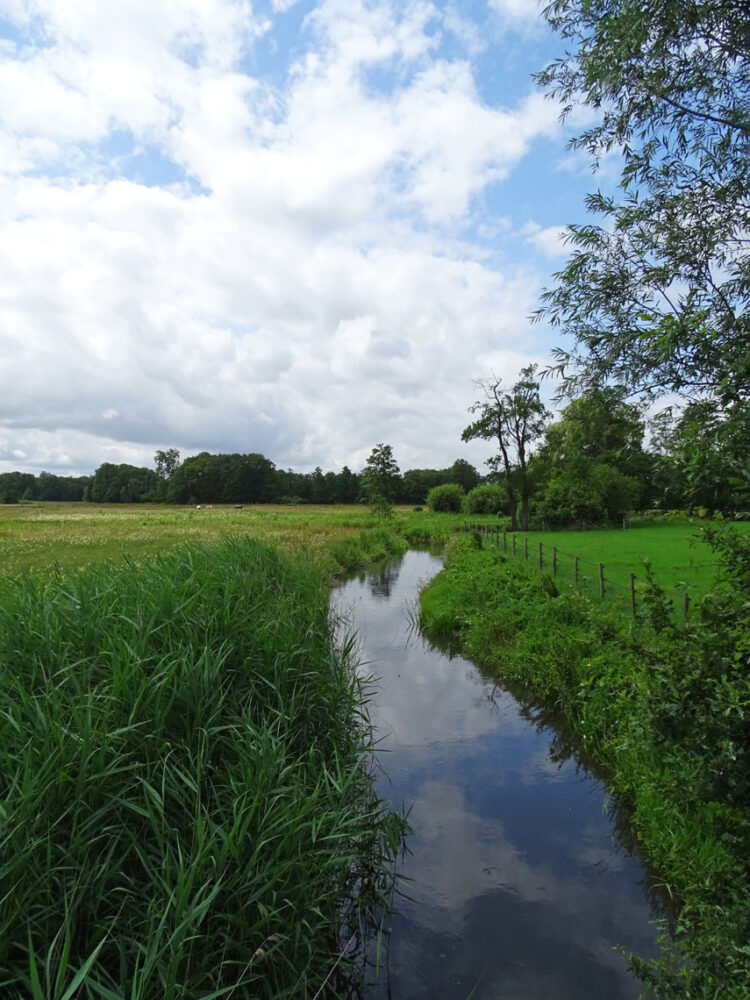 Loonerdiep (NP Drentsche Aa)