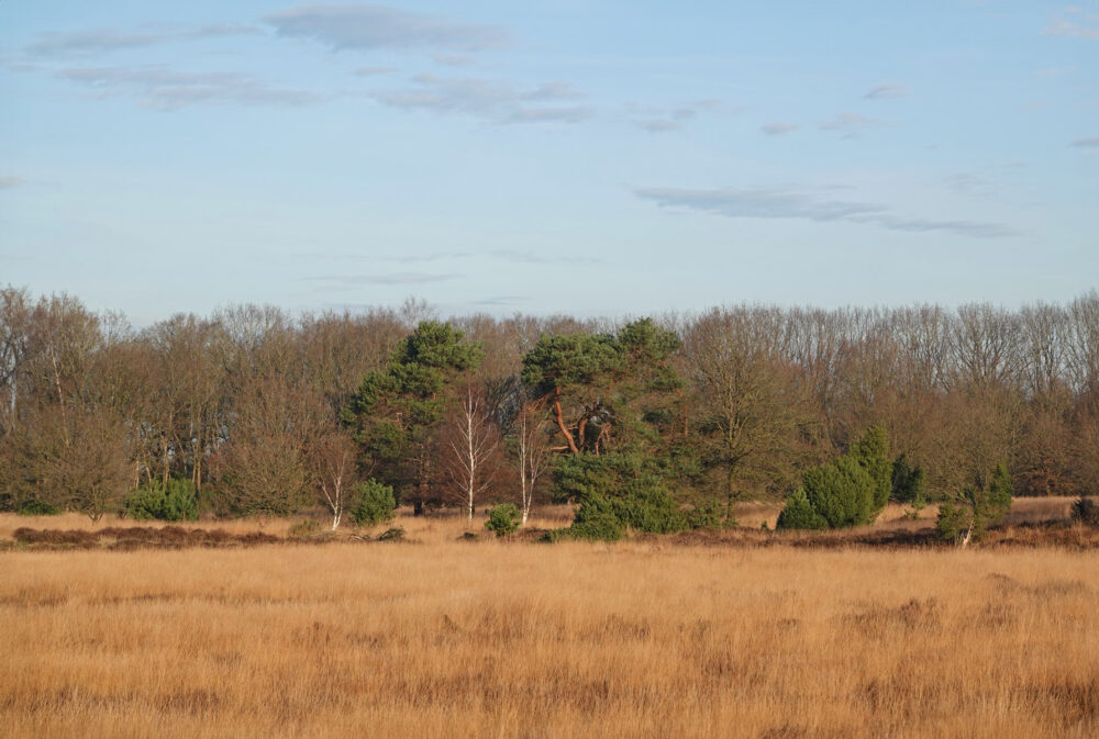 Mantingerzand