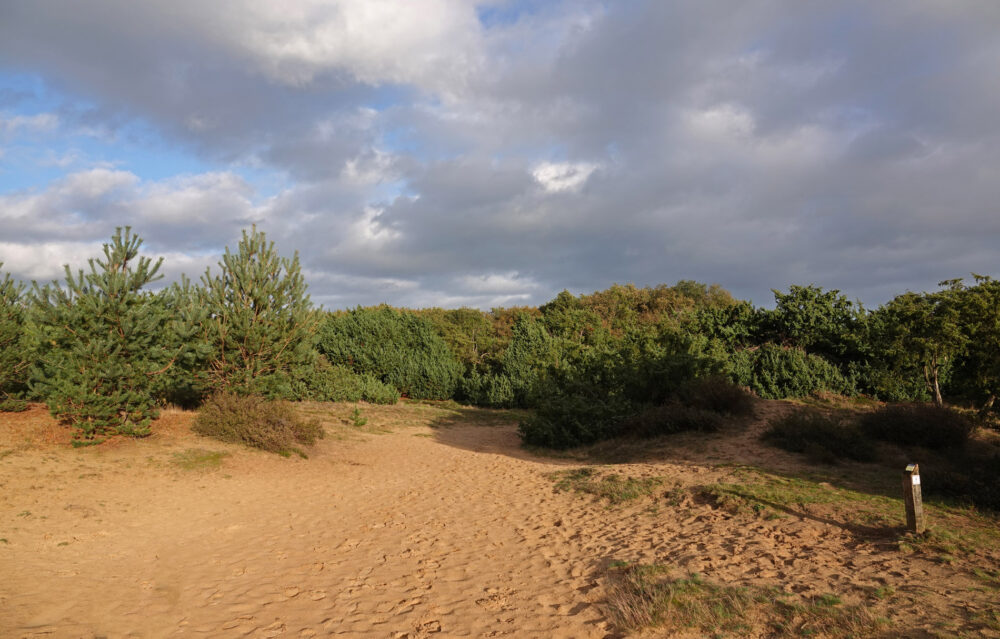 Mantingerzand