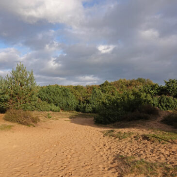 Mantingerzand