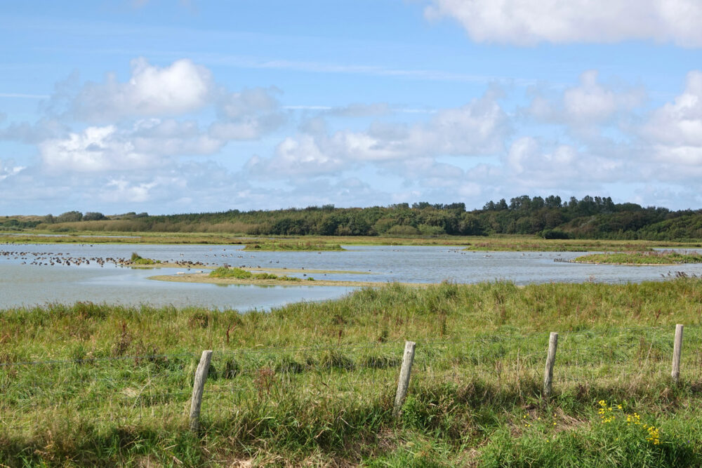 Mariëndal
