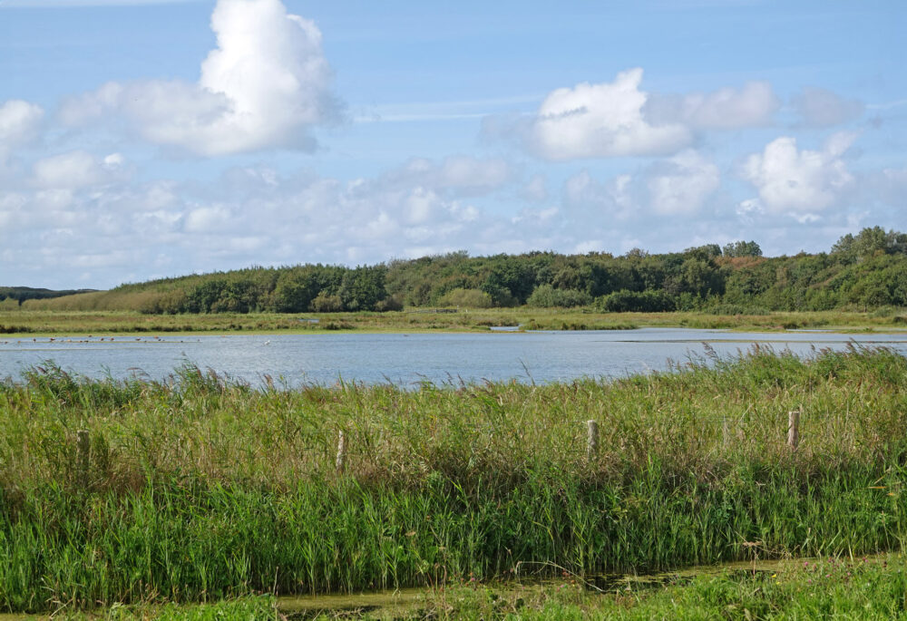 Mariëndal