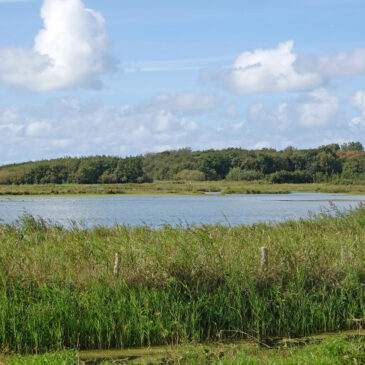 Mariëndal