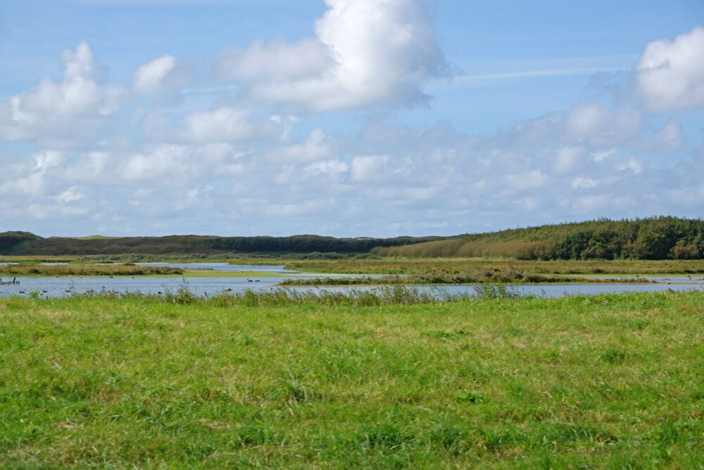 Mariëndal