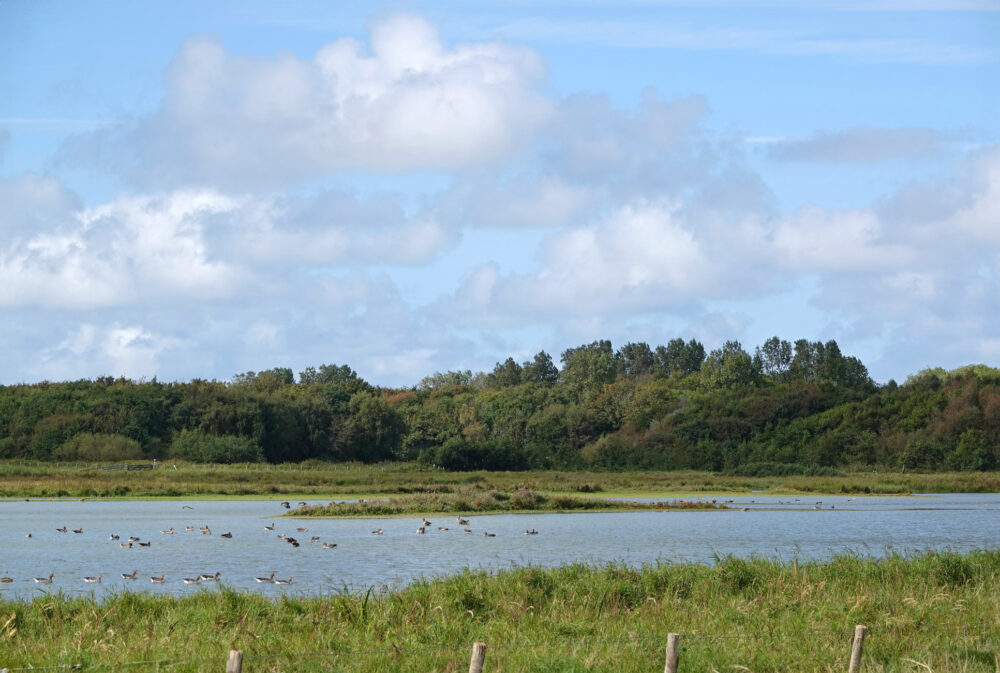 Mariëndal