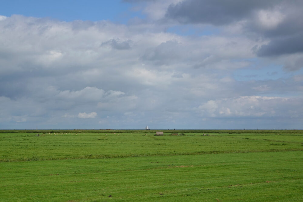 Marken (Gouwkust en Marken)