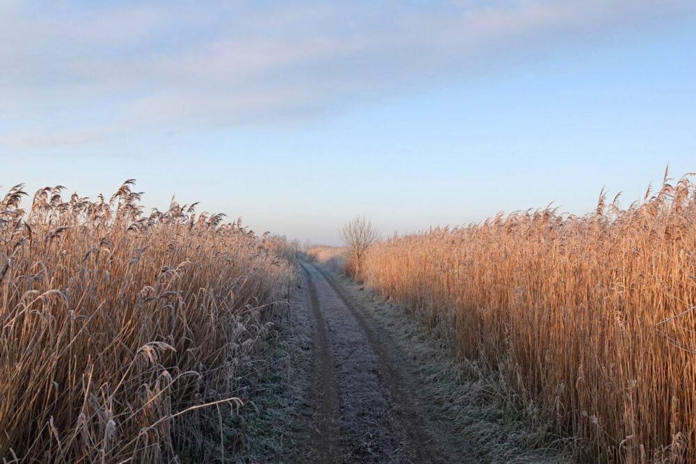 Matsloot in de winter