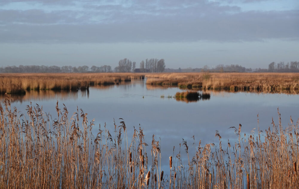 Matslootgebied (Onlanden) in de winter