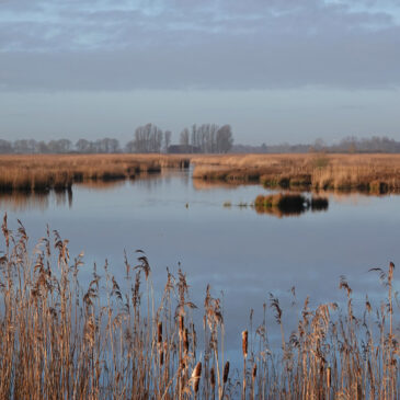 Matslootgebied (Onlanden) in de winter