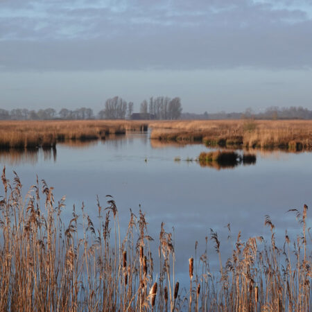 Matslootgebied (Onlanden) in de winter