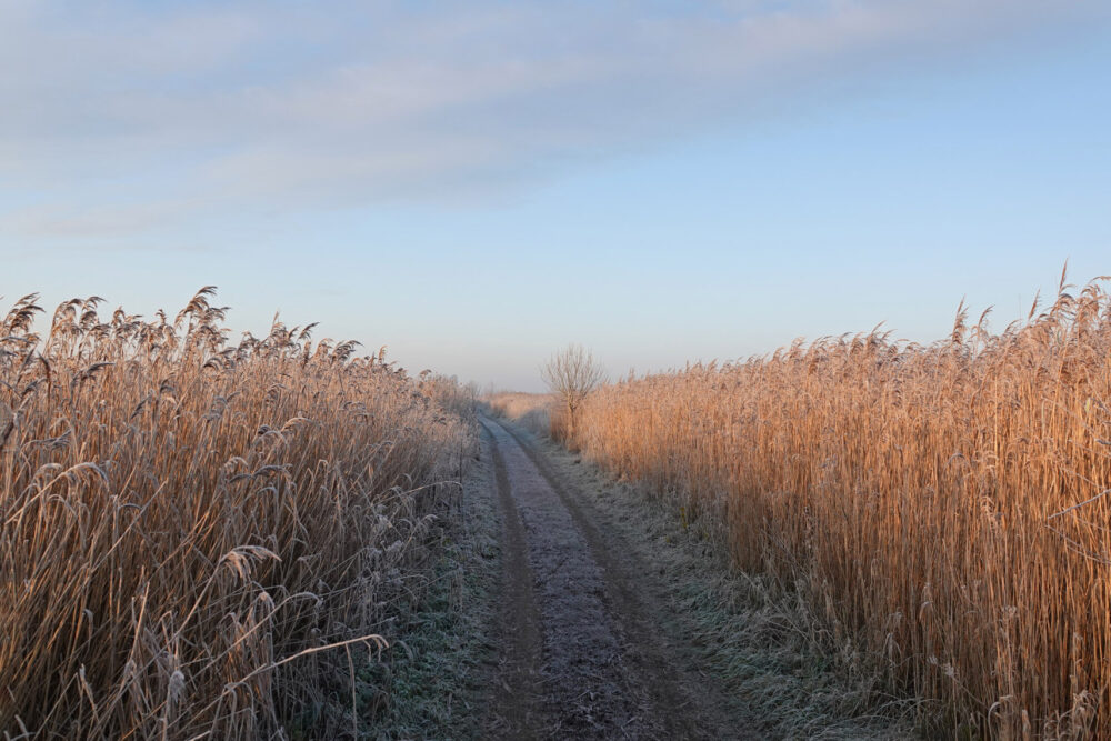 Matslootgebied in de winter