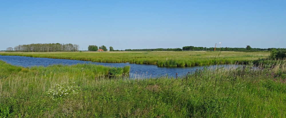 Matslootgebied in de zomer (Onlanden)