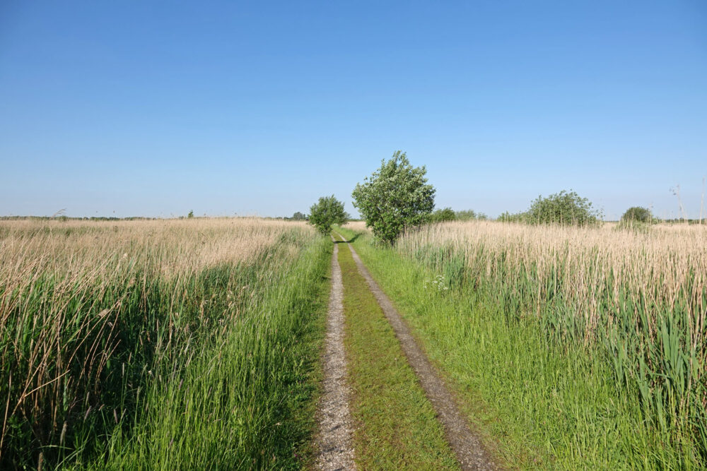 Matslootgebied in het voorjaar