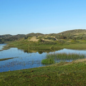 Meijendel (Libellenvallei) najaar