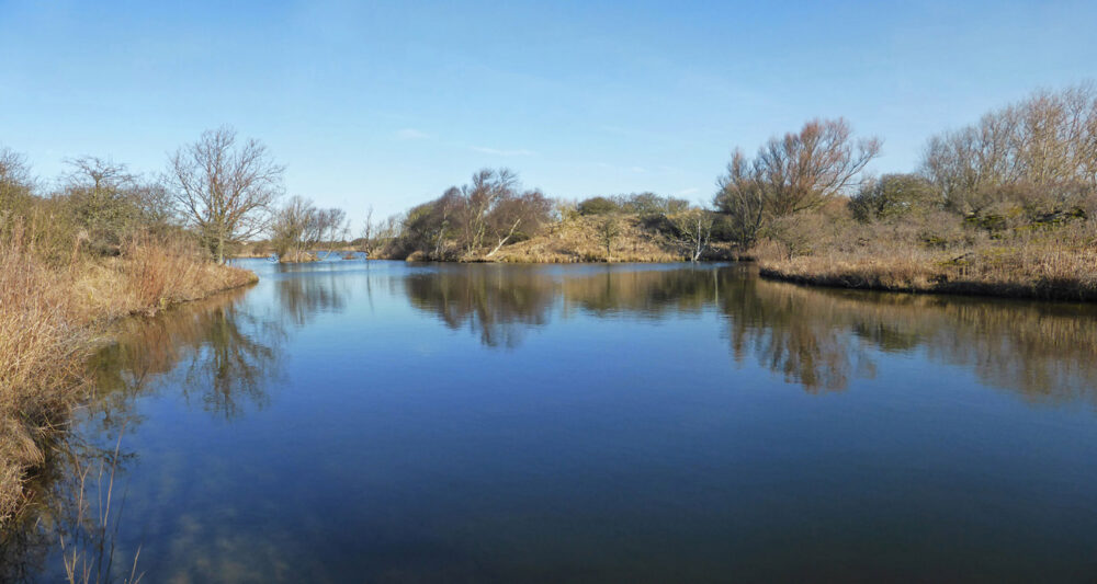 Meijendel in de winter