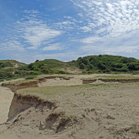 Meijendel in de zomer