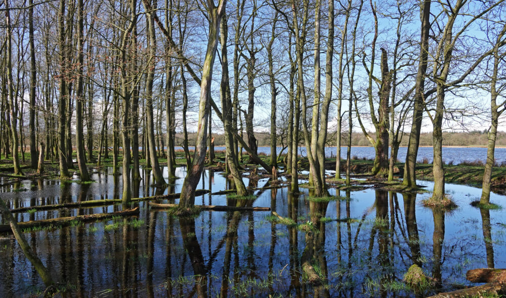 Mepper Hooilanden