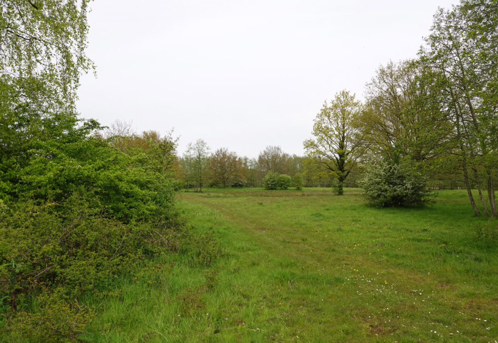 Metbroekbosch