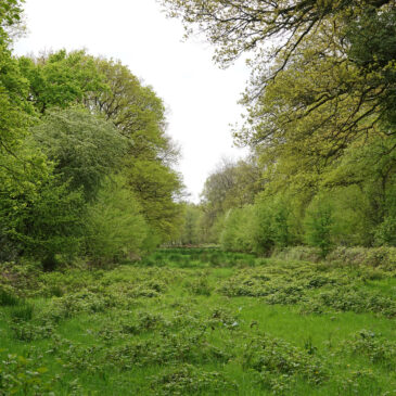 Metbroekbosch