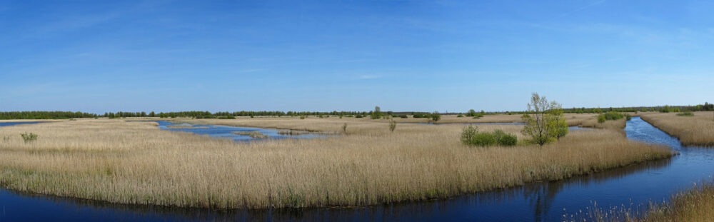 Middelgat (in Kollumerwaard)