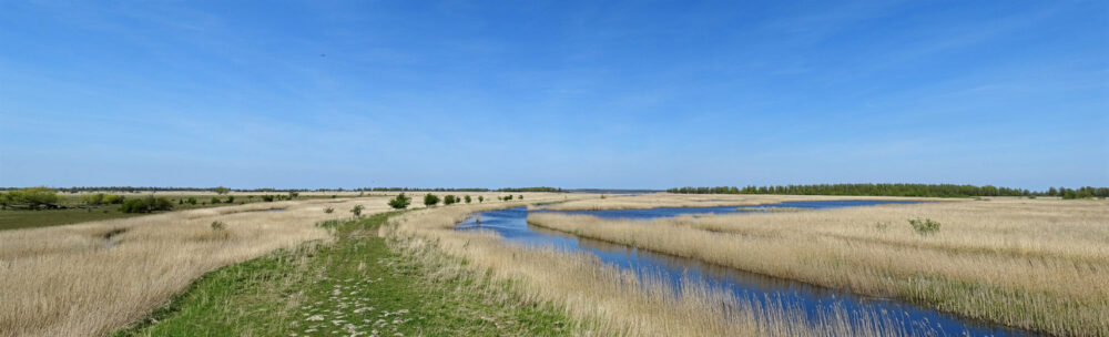 Middelgat (in Kollumerwaard)