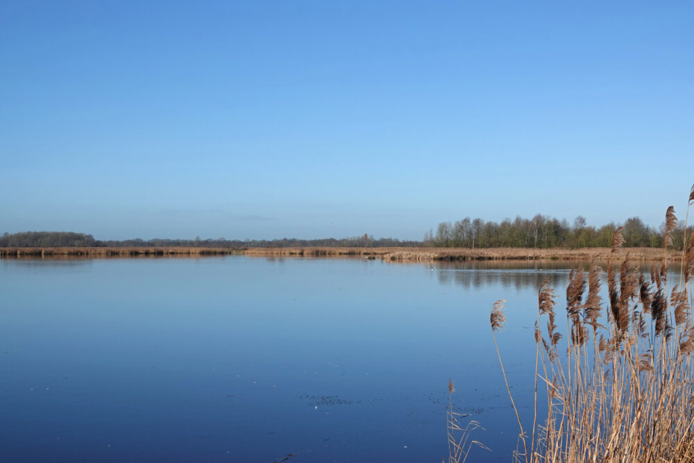 Middelvennen (Onlanden)
