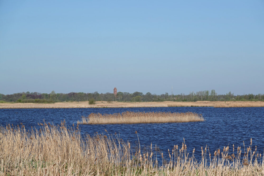 Middelvennen (Onlanden)