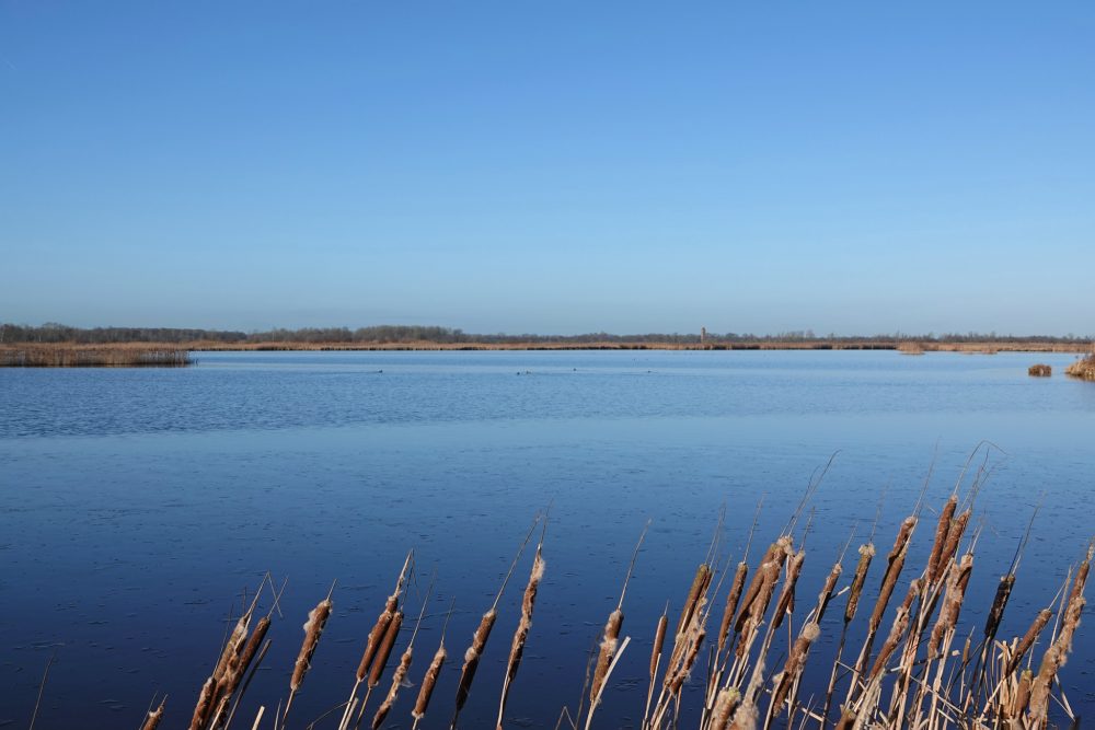Middelvennen(Onlanden)