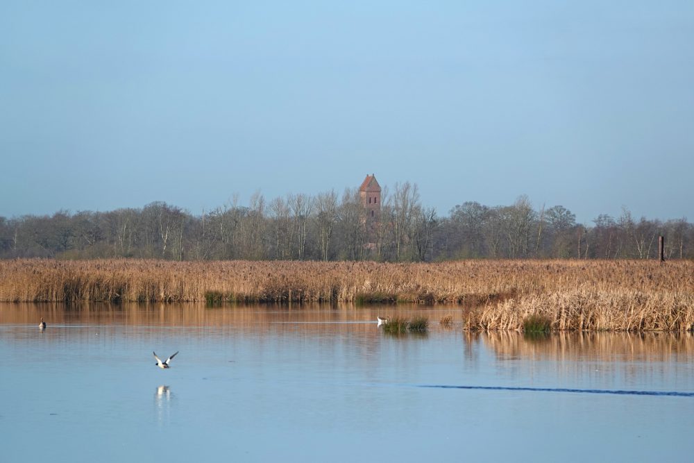 Middelvennen met zicht op kerktoren Midwolde