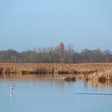Middelvennen met zicht op kerktoren Midwolde