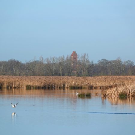 Middelvennen met zicht op kerktoren Midwolde