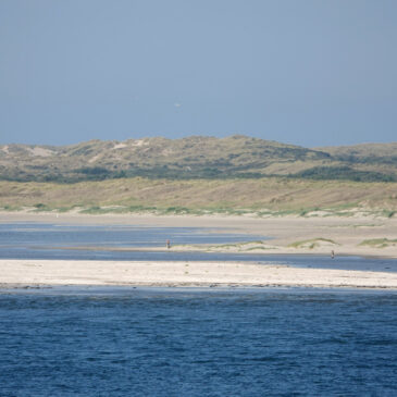 Mokbaai (NP Duinen van Texel)