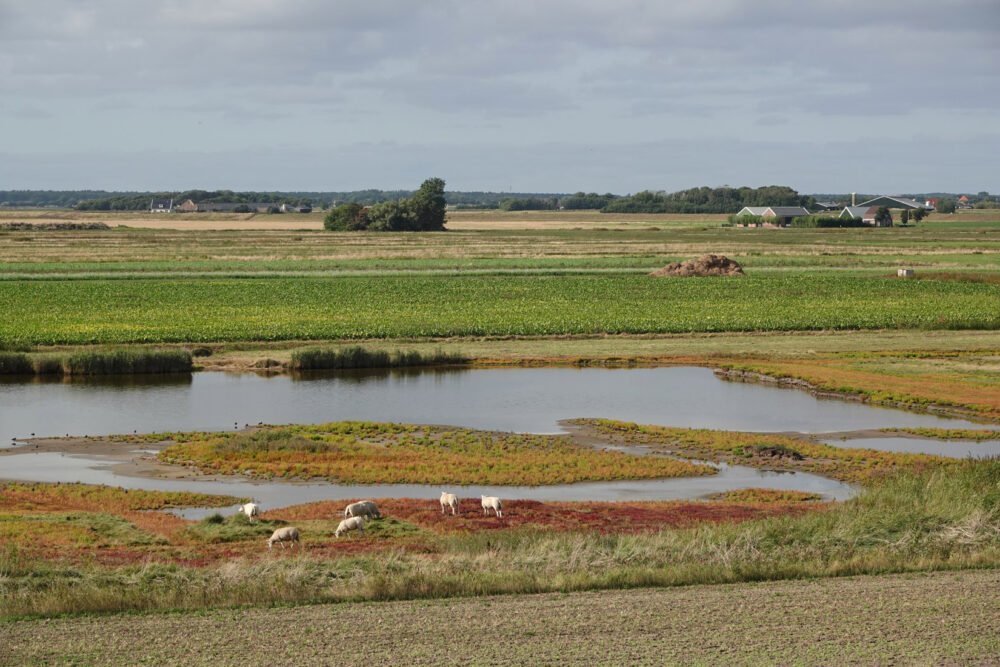Molenkolk (Texel)