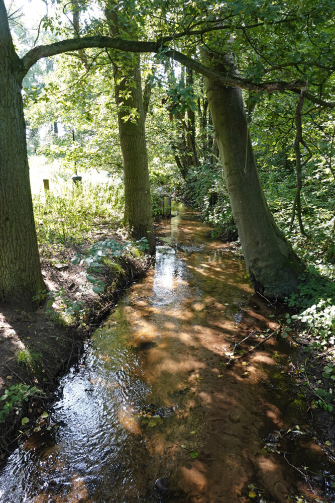 Mosbeek