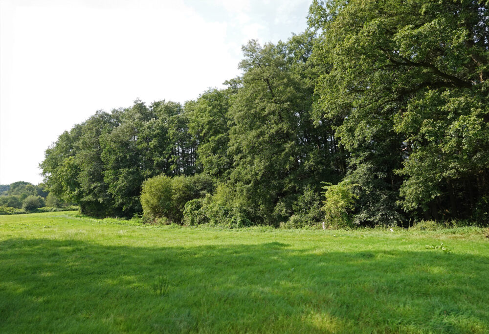 Nationaal Landschap Noordoost-Twente