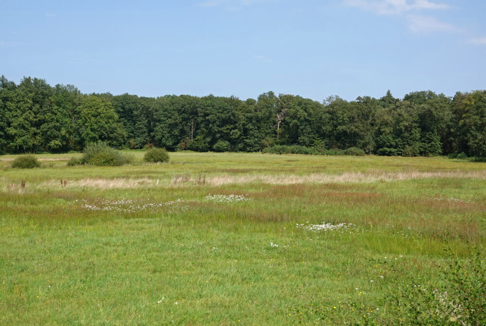 Nationaal Landschap Noordoost-Twente
