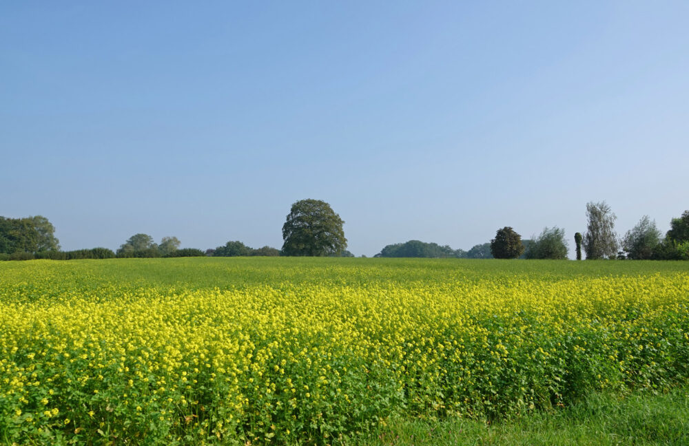 Nationaal Landschap Noordoost-Twente
