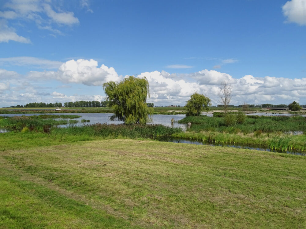 Natuurgebied de Enk (Reevediep)