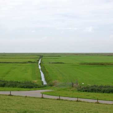 Noarderleech (Noard-Fryslân-Bûtendyks)