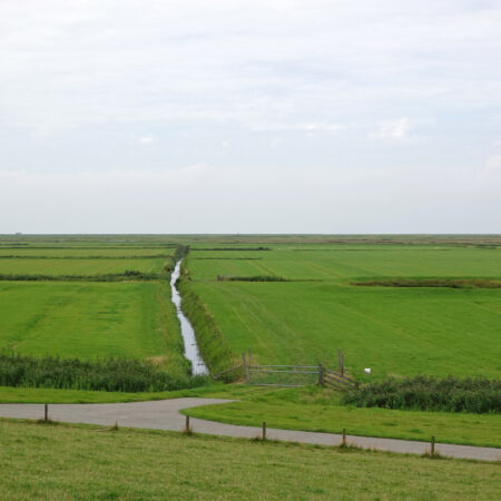 Noarderleech (Noard-Fryslân-Bûtendyks)