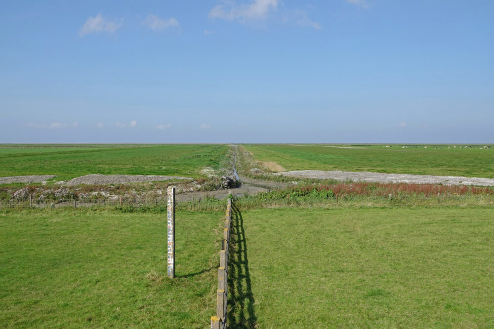 Noarderleech in de zomer