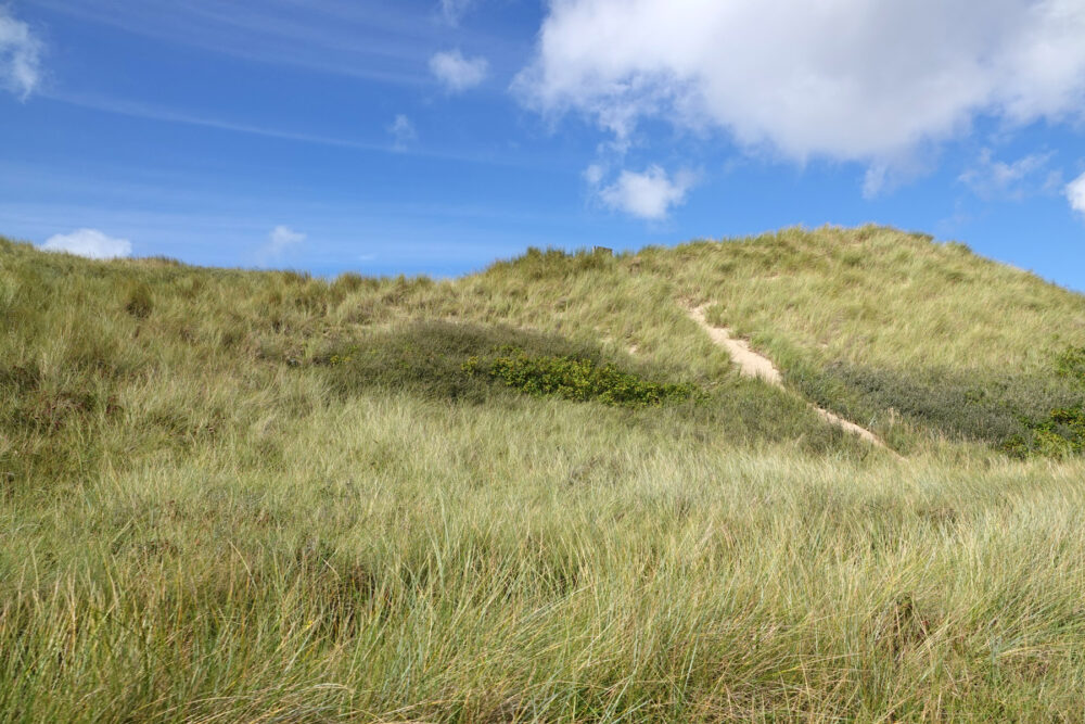 Noordduinen
