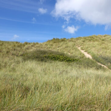 Noordduinen