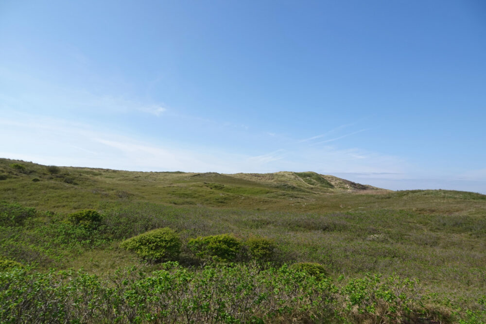 Noordduinen