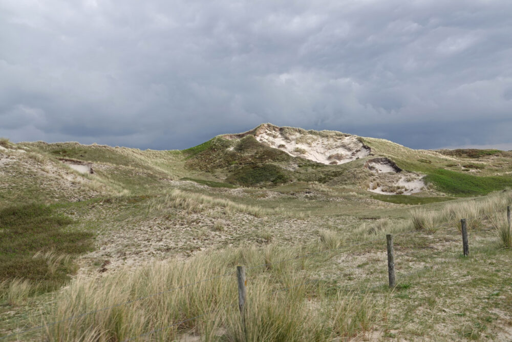 Noordduinen