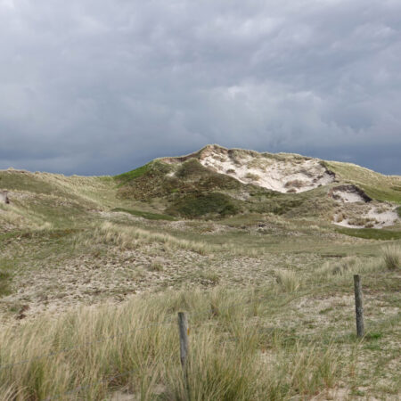 Noordduinen