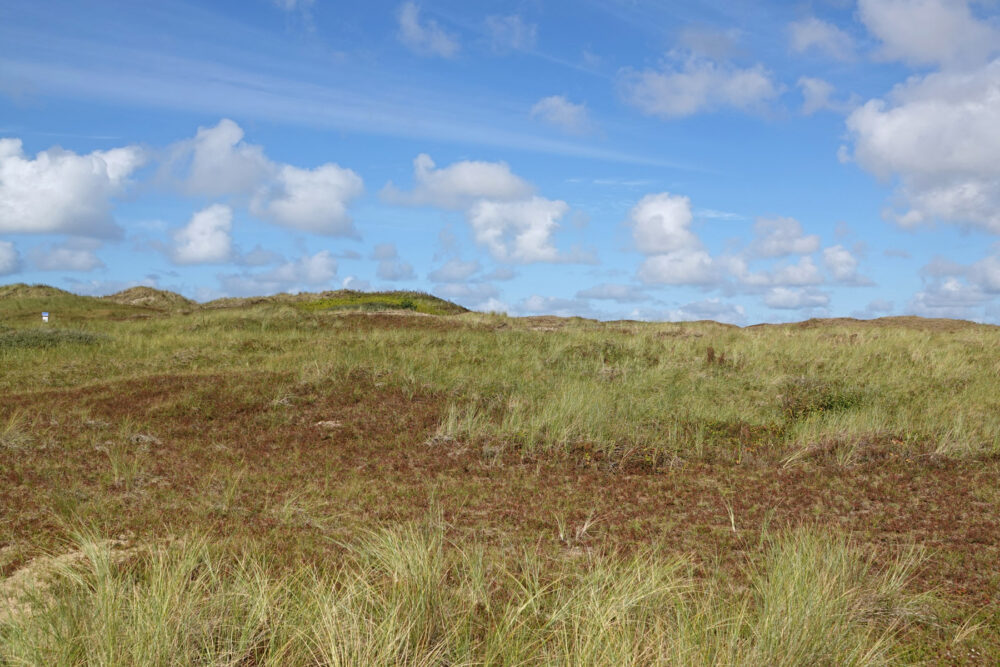 Noordduinen